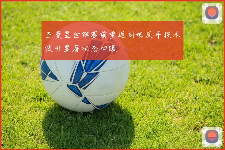 王曼昱世锦赛前重返训练反手技术提升显著状态回暖
